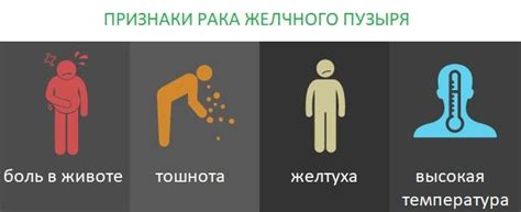 Рак желчного пузыря: симптомы, проявление, лечение