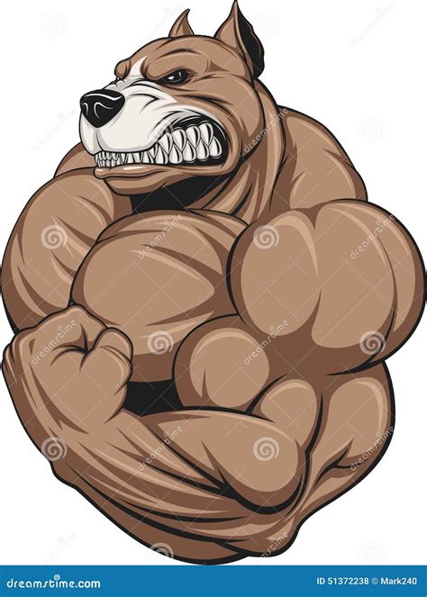 Strong Pitbull Bodybuilder Cartoon Vector | CartoonDealer.com #72110573