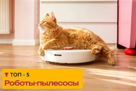 ТОП-5 роботов-пылесосов для дома — Techno Expert