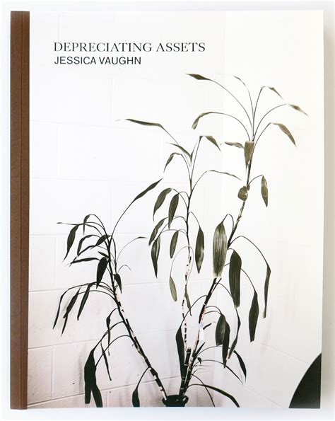 Jessica Vaughn’s Depreciating Assets – The Brooklyn Rail