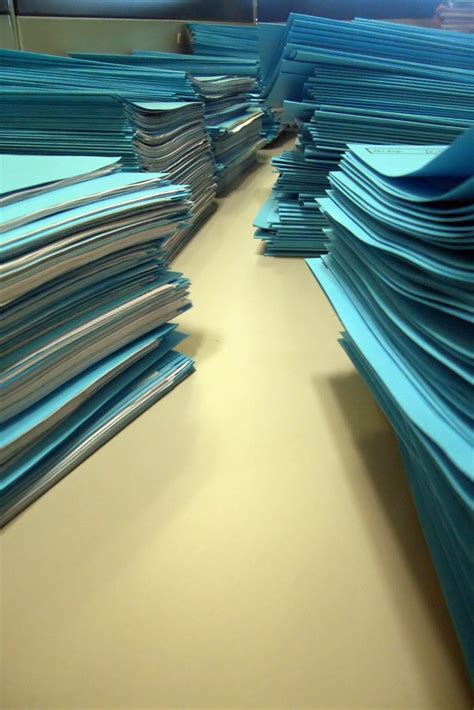 documents maja ferle