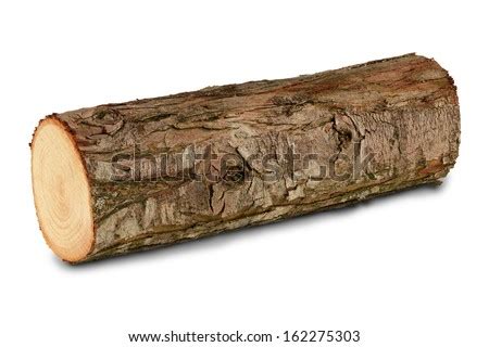 Just a log. : r/notinteresting