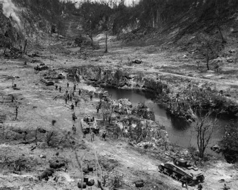 Peleliu Island the Battle of Peleliu and Bloody Nose Ridge