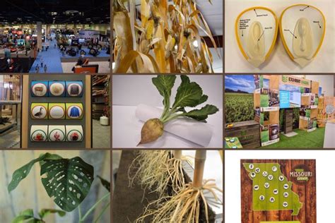 Exhibit Farm Highlights: 2019 in Review - Exhibit Farm: The Leader in Agricultural Exhibits and ...