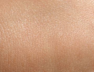 normal skin type key characteristics prequel