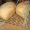 Essene Bread Recipe - Allrecipes.com