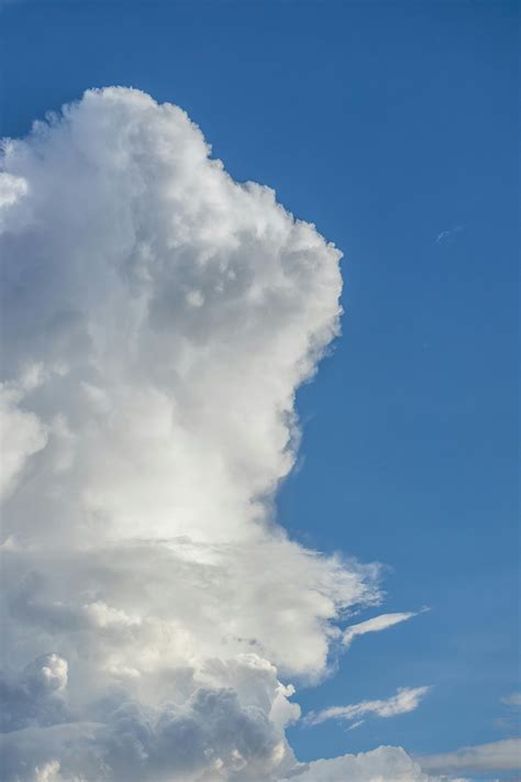 Big+Ass+Twerk+Gif Photos, Download The BEST Free Big+Ass+Twerk+Gif