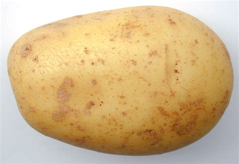 potato gbatempnet  independent video game community