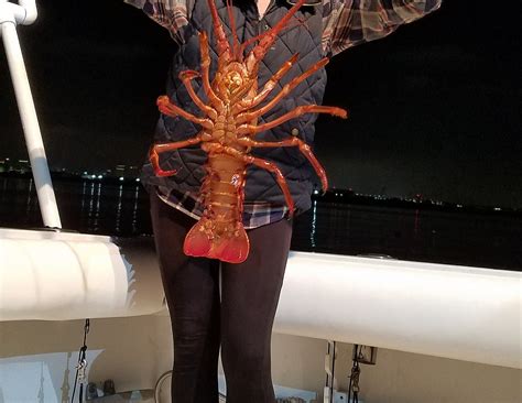 Josie Lynn Sportfishing (2025) - All You Need to Know BEFORE You Go