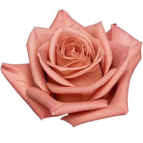 O Que Significa Barista