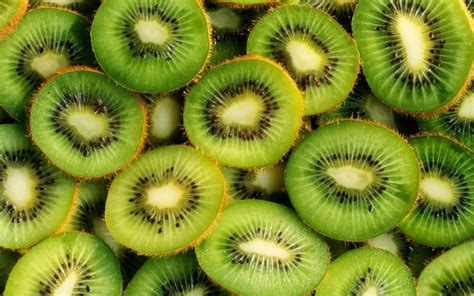 8 facts about Kiwi Fruit - fruitrunner