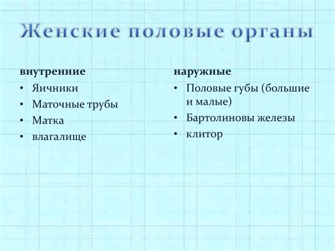 Половая система - презентация онлайн
