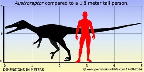 Austroraptor Pictures & Facts - The Dinosaur Database