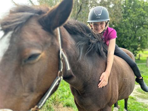 Horse Riding Lessons, Auckland