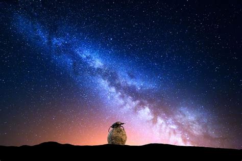 Как навозные жуки используют Млечный путь для навигации? Up To The Sky ...