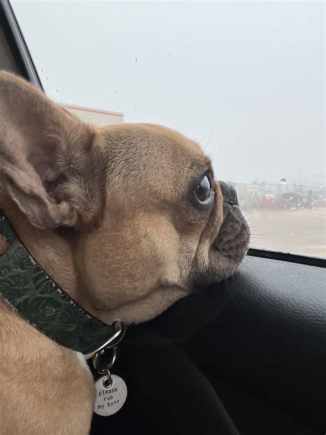 Babe with B.I.L.F. Vs Babe with B.I.L.F. - GLASSES EDITION: heyimbee Vs