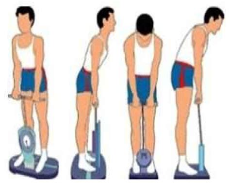 strength measurement  scientific diagram