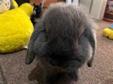 Emi doesn't know.................blink twice if you need help Bonnie