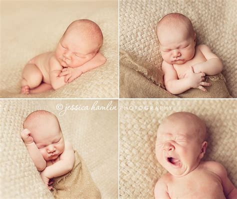 newborn poses | Dallas newborn photographer, Baby photography, Newborn photographer