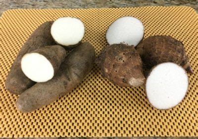 Diferença Entre Cara E Inhame - inhame – Mãozinha na Cozinha