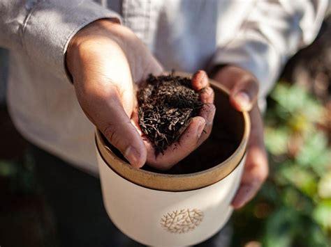 recompose composts human remains  nutrient rich soil