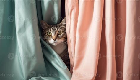 Hiding Behind The Curtain