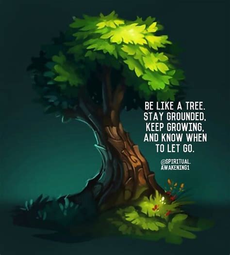 tree life quotes quotes quote life motivational quotes