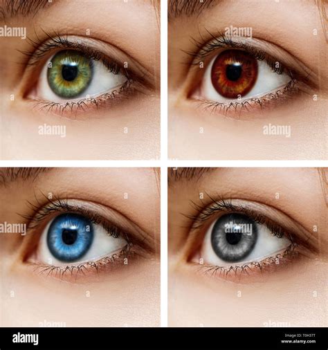 Different colorful contact lenses Stock Photo - Alamy