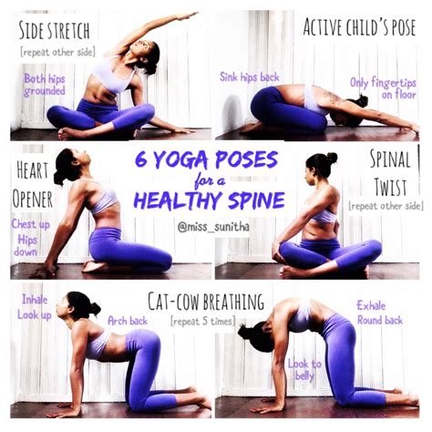 Basic Yoga Poses For Back