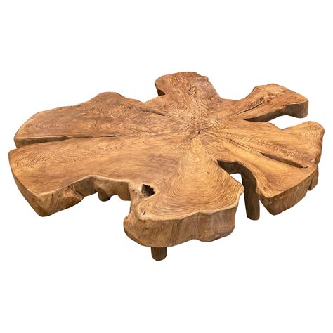 Andrianna Shamaris Organic Teak Wood Root Coffee Table For Sale at