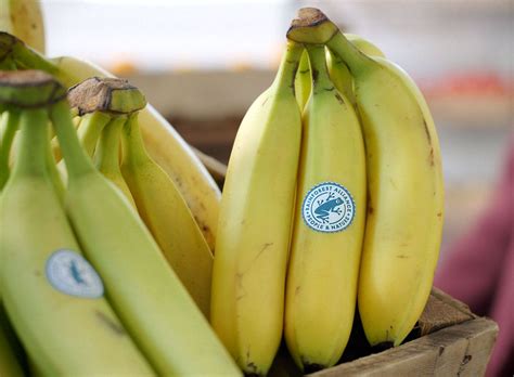 Home | Rainforest Alliance