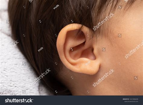 details shape human outer ear viewed stock photo  shutterstock