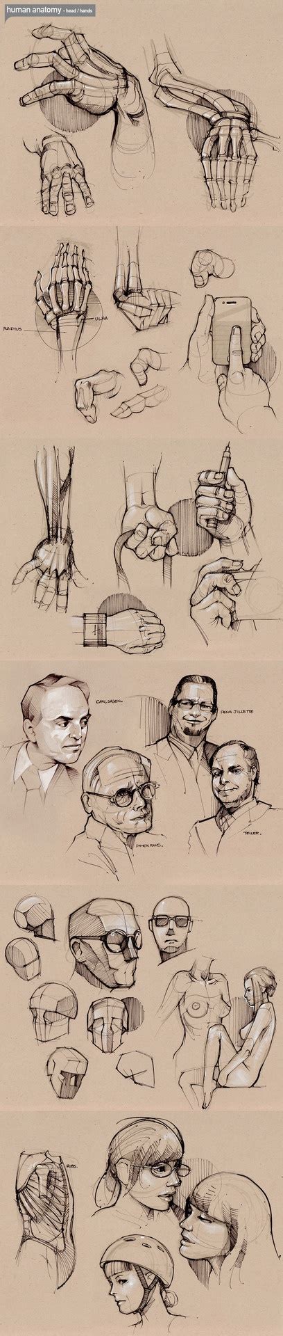 hand poses images  pinterest drawing drawing hands