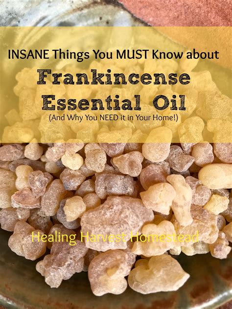 The complete guide to using frankincense essential oil benefits uses recipes and more – Artofit