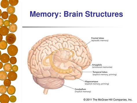 PPT - Chapter 7 Memory PowerPoint Presentation, free download - ID:835222