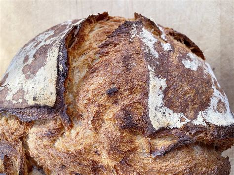 Sourdough Culture: From Then to Now – Homestead Culture