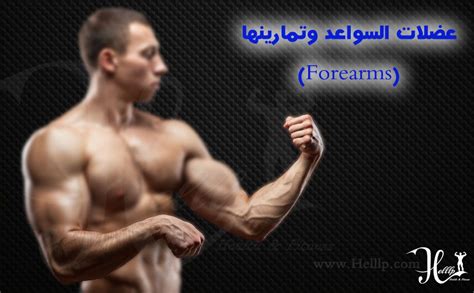 aadlat alsaaad aymygz