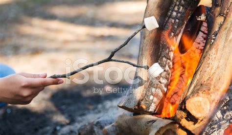 Roasting Marshmallows Stock Photo | Royalty-Free | FreeImages