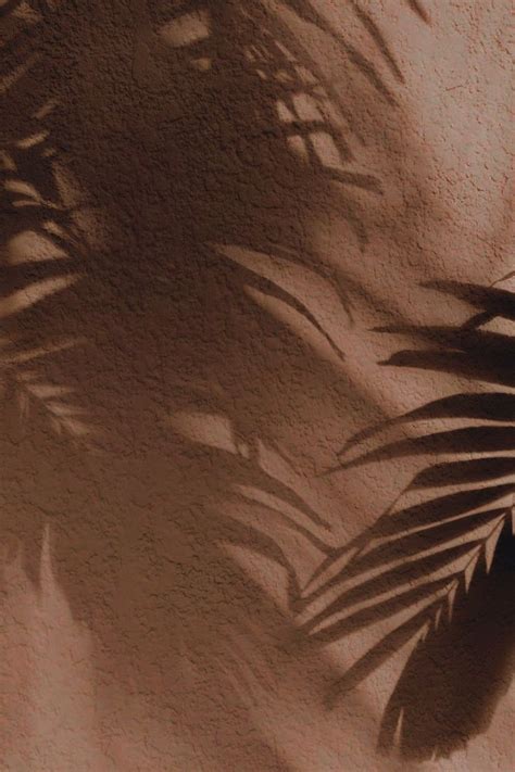 vintage brown aesthetic wallpaper light brown esthetics brown boho