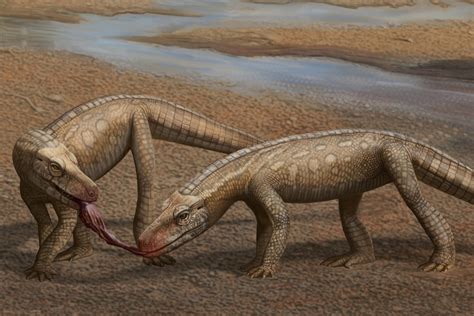 Prehistoric Animals Researchers Identify Two New Ancient Mammals In