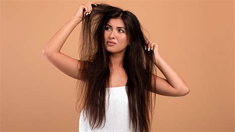 rid  frizzy hair hollywoodlife reviews hollywood life