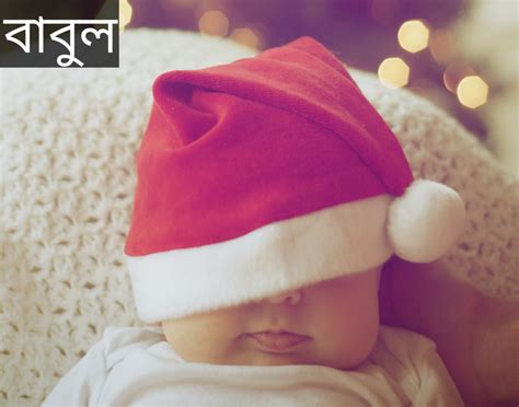 babul namer orth ki babul  meaning  bengali