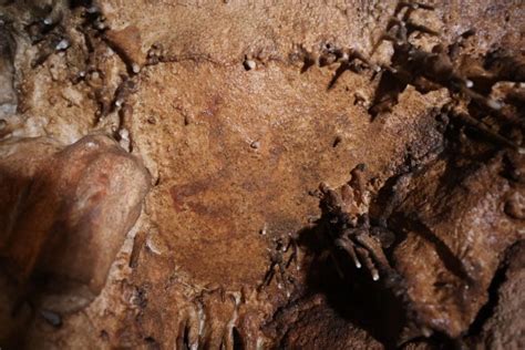 “Shocking” Findings – Scientists Discover Over a Hundred Ancient Paintings in Hidden Cave