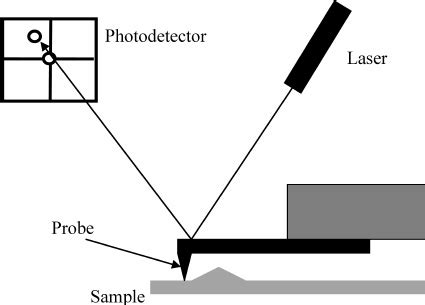 The working principle of an AFM. | Download Scientific Diagram