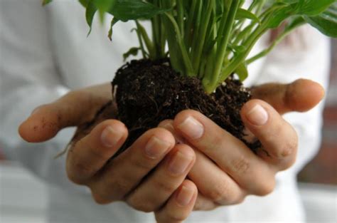international mother earth day april   beautiful