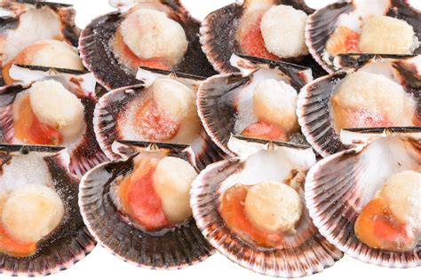 Заморожені морепродукти доставка додому ціна від 140 грн - Заморожені ...