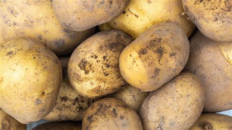 russet  yukon gold potatoes  differences