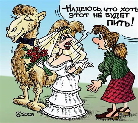 Карикатуры на женщин (15 картинок) | Карикатуры | webcity.su