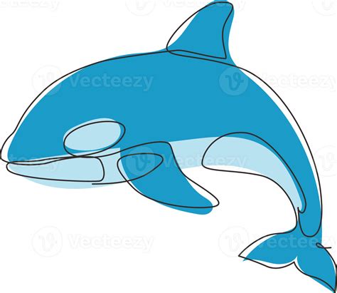 killer whale drawing easy 10