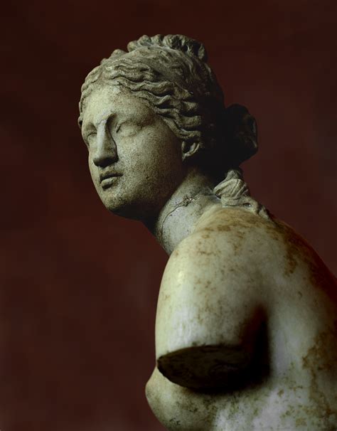 Aphrodite (Venus Tauride). Saint Petersburg, State Hermitage Museum.
